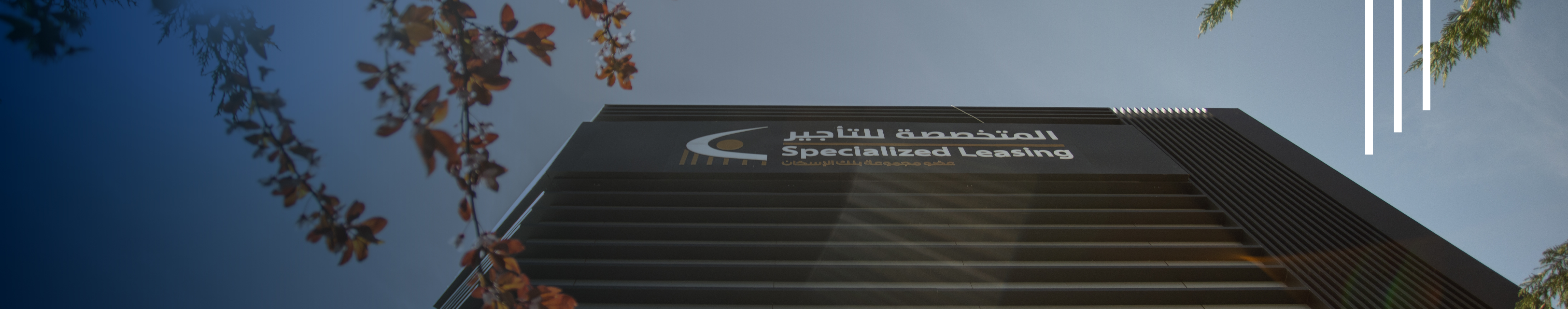 3473 � SLC � Multimedia - Banner Proposal-WO text-12